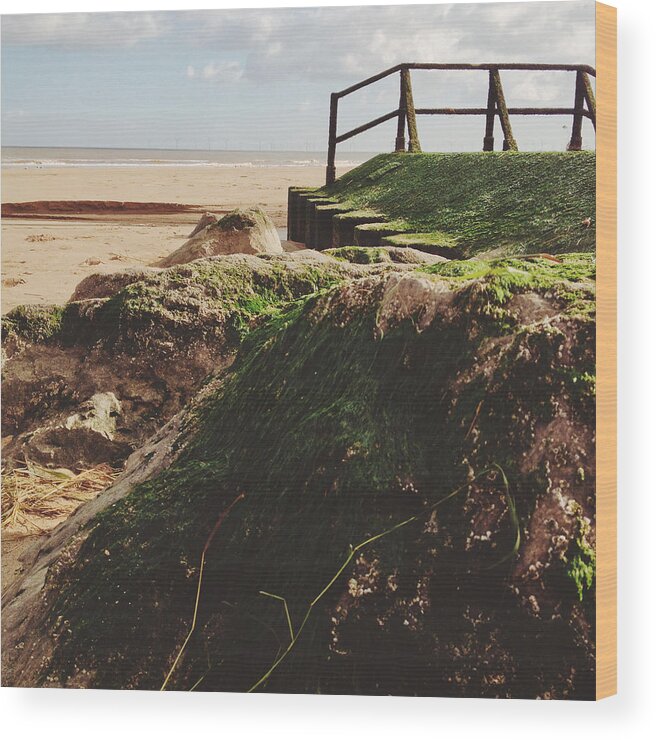 Anderby Creek Wood Print featuring the photograph Seaweed on the Rocks by Gemma Knight