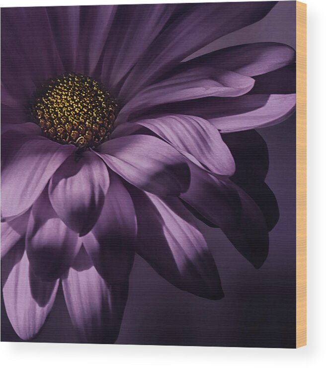 Floral Wood Print featuring the photograph Seduction by Darlene Kwiatkowski