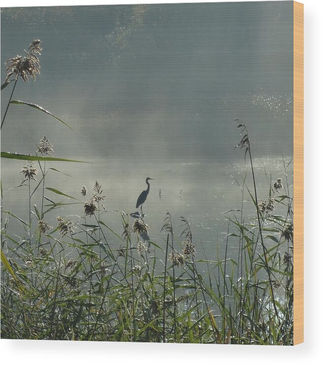 Heron Wood Print featuring the photograph Spirit Guide by Catherine Arcolio