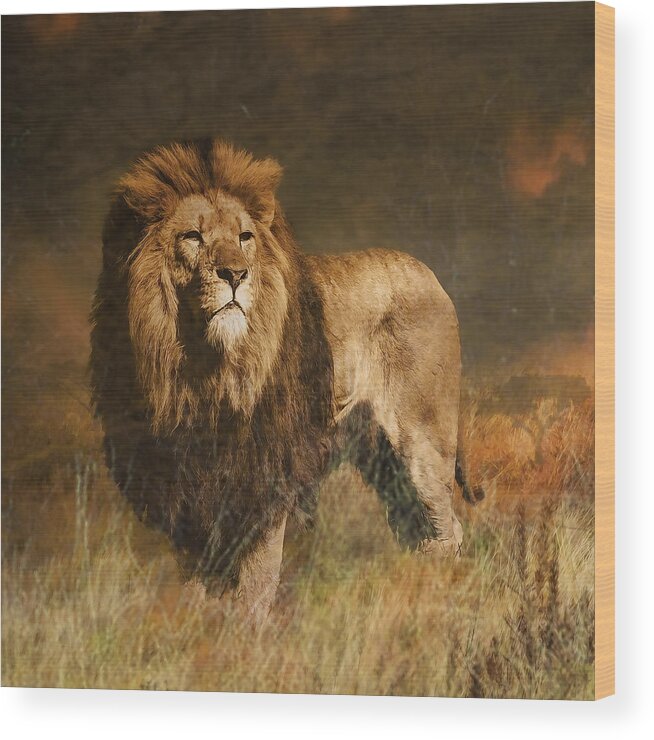 African Lion Wood Print featuring the photograph Serengeti Sunset by Brian Tarr