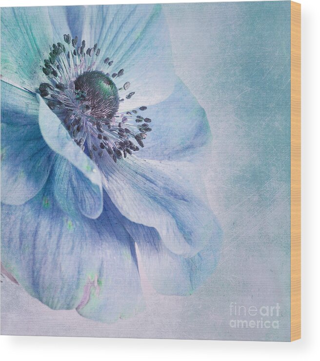 Blue Wood Print featuring the photograph Shades Of Blue by Priska Wettstein