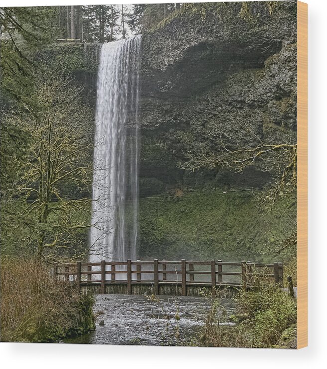 Silver Falls Wood Print featuring the photograph Silver Falls by Wes and Dotty Weber