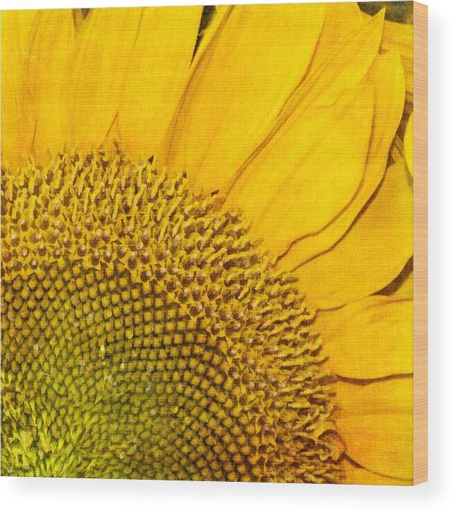 Sunflower Wood Print featuring the photograph Slice of Sunshine by Cathy Kovarik