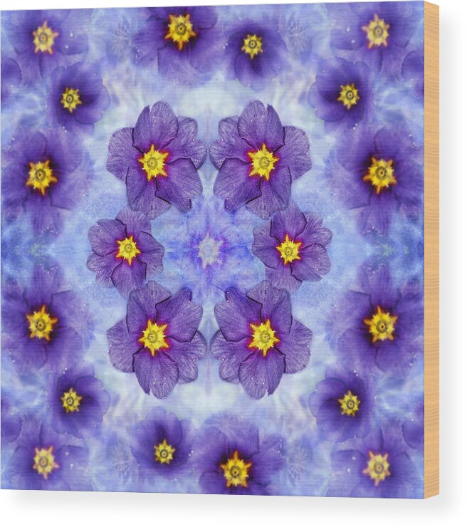 Primrose Wood Print featuring the photograph Small Purple Flowers - Medium by Belinda Greb