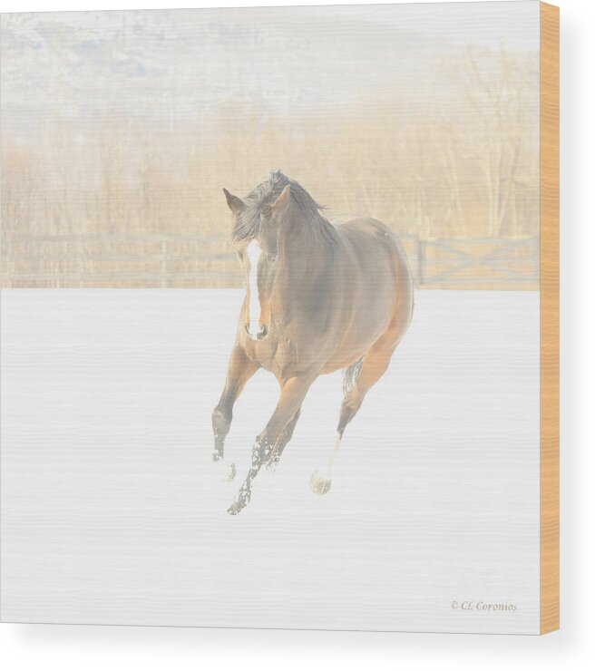 Horse Wood Print featuring the photograph Snow Fun by Carol Lynn Coronios