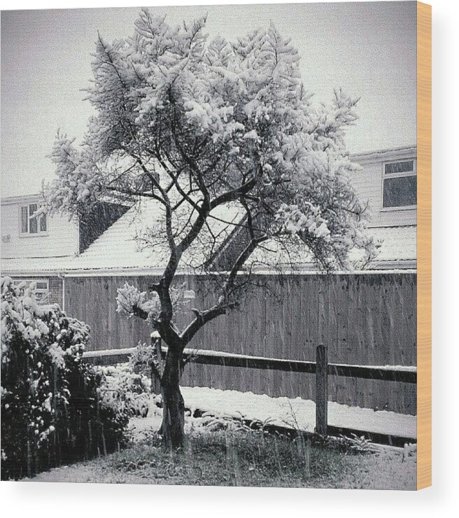 Hdrstyles_gf Wood Print featuring the photograph Snowing!! :-) by Chris Drake