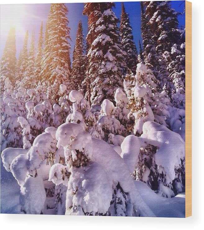 Mountains Wood Print featuring the photograph Soakin' In The Rays! #morningshredmish by Cody Haskell