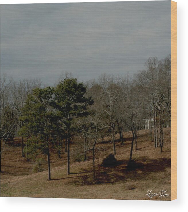 Fall Landscape Wood Print featuring the photograph Southern Landscape by Lesa Fine