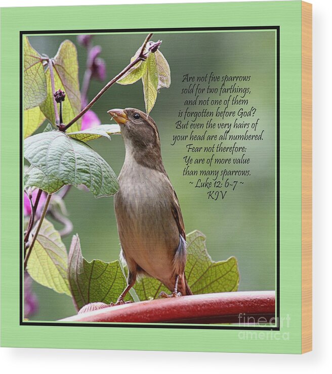 Luke 12 Wood Print featuring the photograph Sparrow Inspiration from the Book of Luke by Catherine Sherman