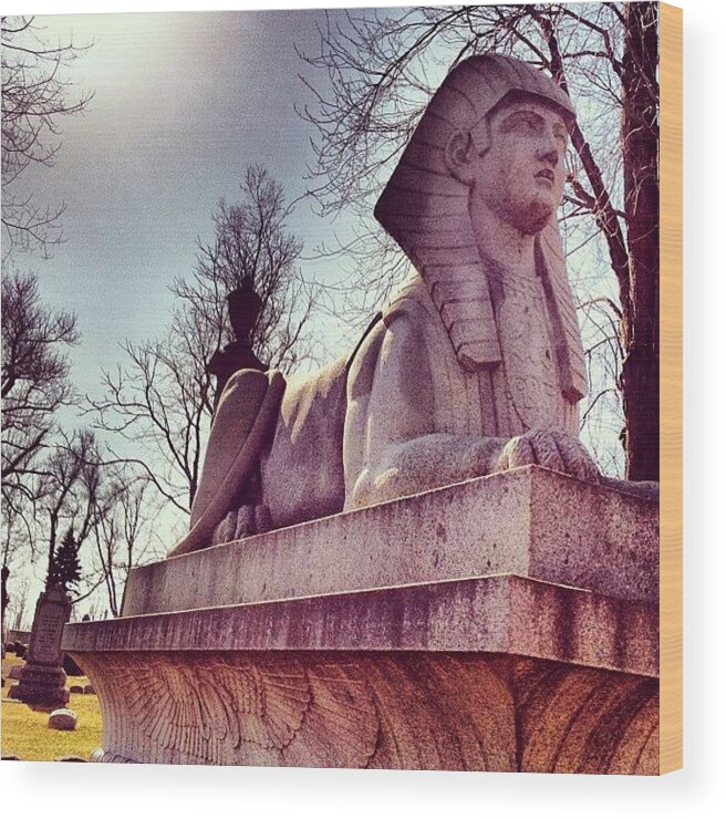 Sphinx Wood Print featuring the photograph Sphinx by Tammy Wetzel
