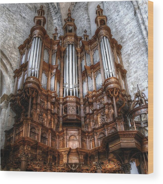 France Wood Print featuring the photograph Spooky organ by Jenny Setchell