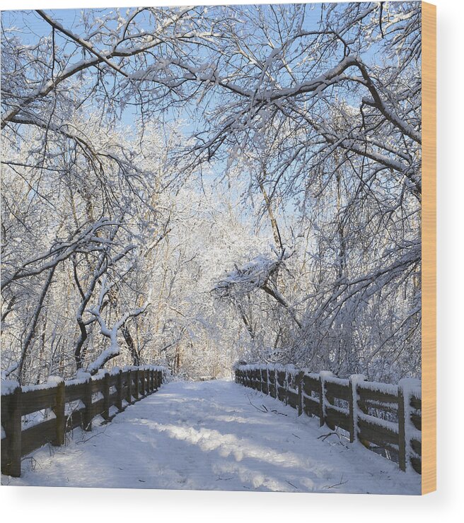 Winter Wood Print featuring the photograph Spring Snow Bridge by Forest Floor Photography