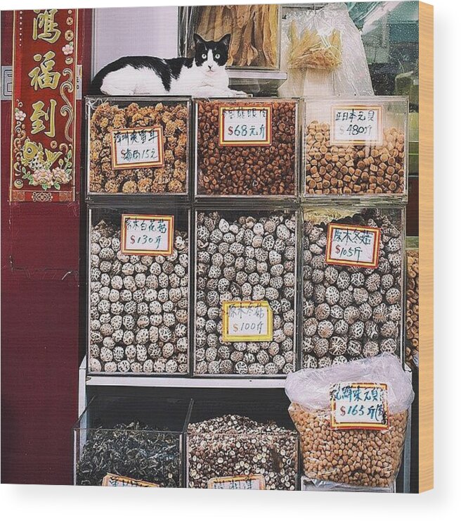 Catsofinstagram Wood Print featuring the photograph Standing Guard At A Dried Seafood Shop by David Hagerman