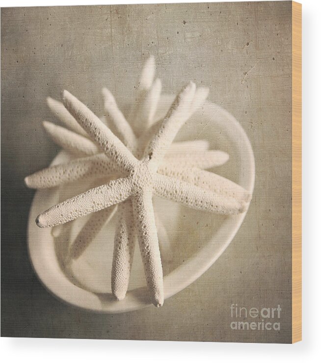 Starfish Wood Print featuring the photograph Starfish In A Bowl by Sylvia Cook