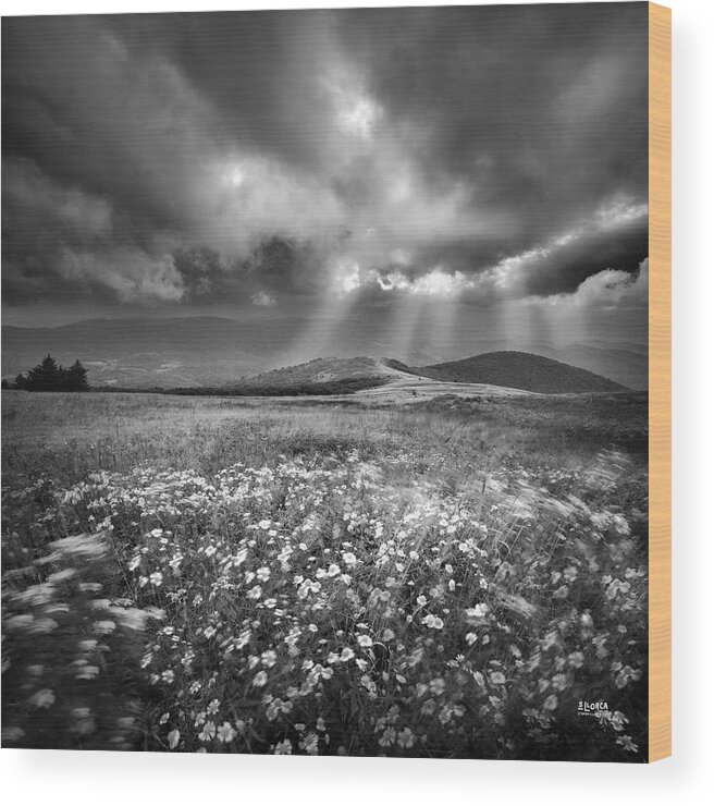 Whitetop Mountain Wood Print featuring the photograph Storm Over Whitetop Mountain by Steven Llorca