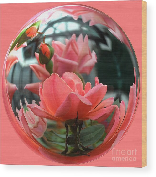 Rose Wood Print featuring the photograph Summer Love by Renee Trenholm