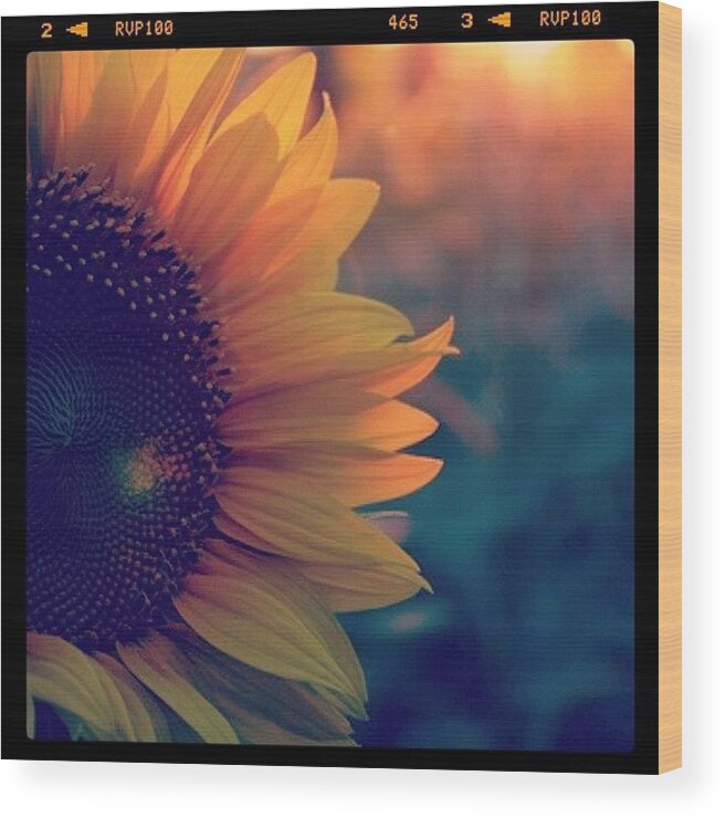  Wood Print featuring the photograph Sunflowers Brighten My Day ❤️🌻 by Fallon Henderson