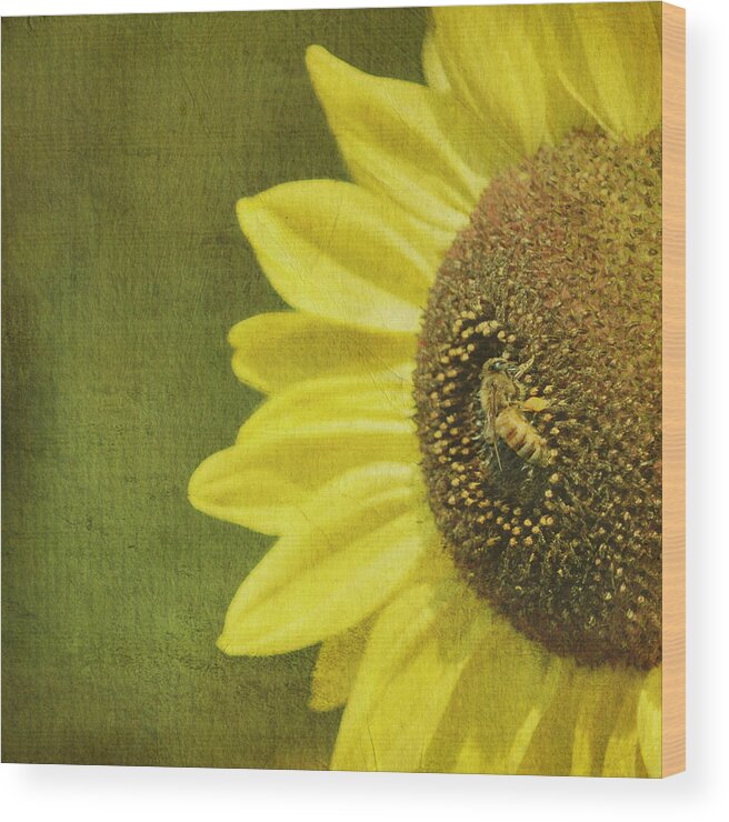 Animal Themes Wood Print featuring the photograph Sunny, Honey Bee by Beata Malinowski