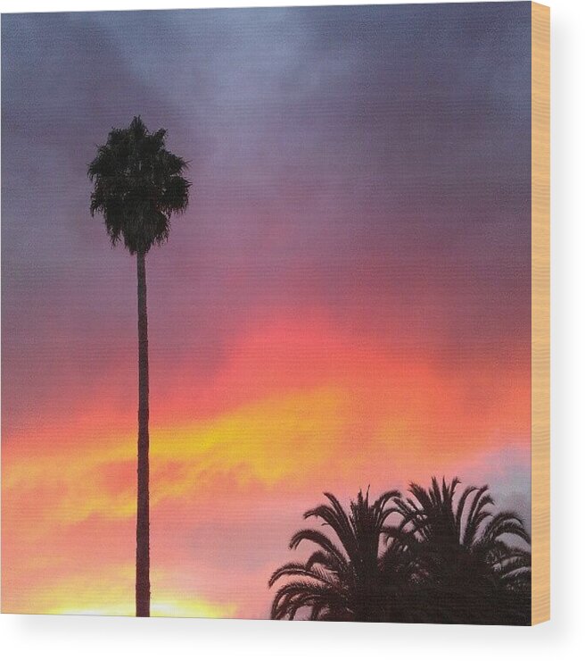 Sunset Wood Print featuring the photograph Sunset California by CML Brown