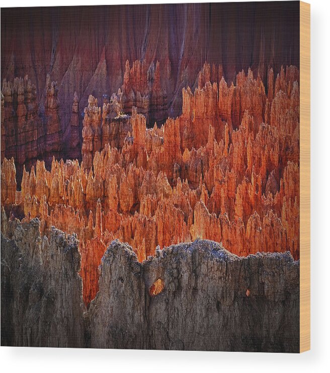 Bryce Canyon National Park Wood Print featuring the photograph Sunset Point Bryce Canyon Utah by Gary Warnimont