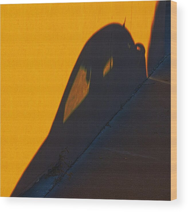 Orange Wood Print featuring the photograph Sunset Shadow Car by John Hansen