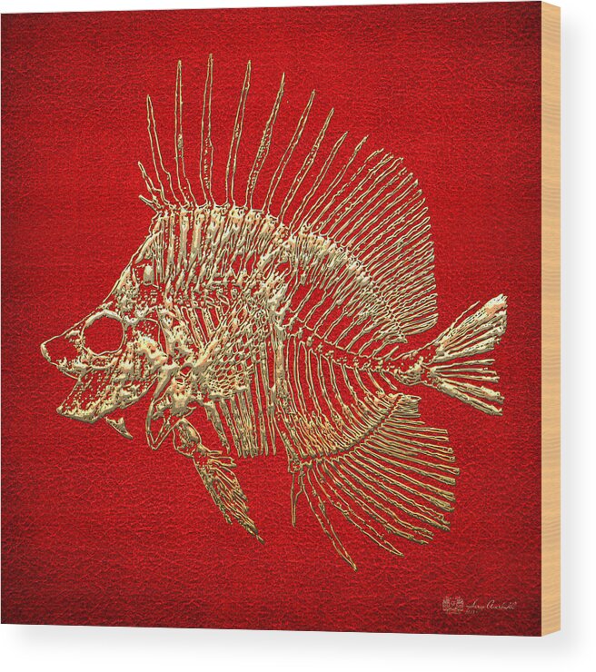 'precious Bones' Collection By Serge Averbukh Wood Print featuring the digital art Surgeonfish Skeleton in Gold on Red by Serge Averbukh