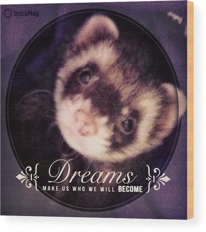Sweet Dreams Little One Wood Print featuring the photograph Sweet Dreams Little One by Anna Porter