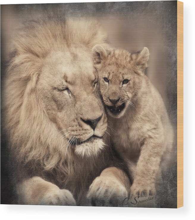 Lion Wood Print featuring the photograph Tenderness by Christine Sponchia