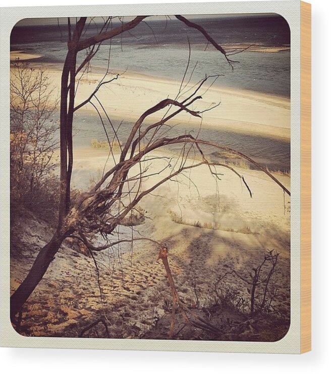 Beach Wood Print featuring the photograph The Bluff by FC Designs