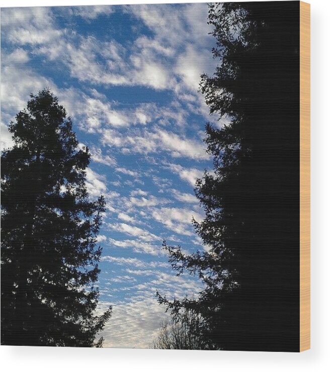 Sky Wood Print featuring the photograph The Corridor by CML Brown