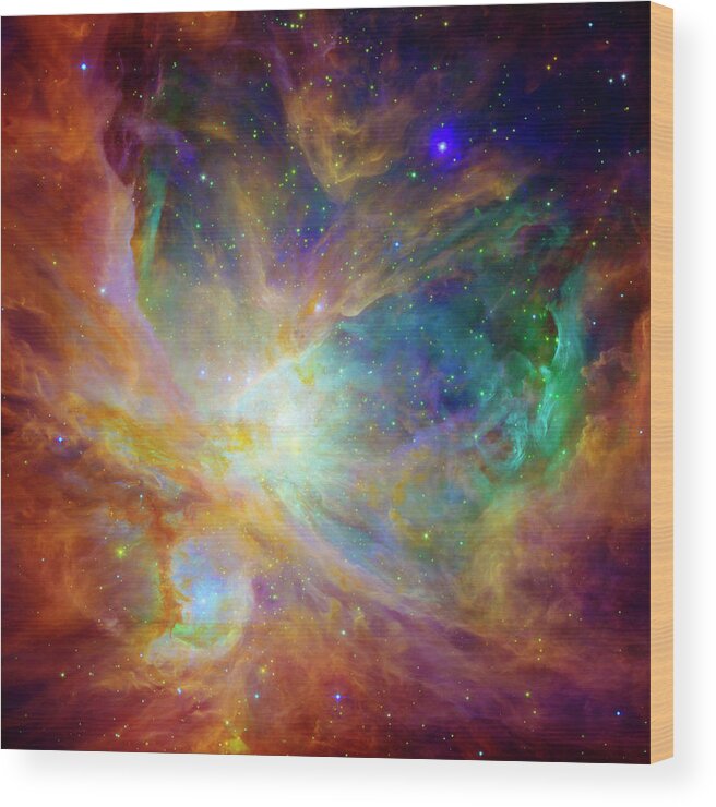 Universe Wood Print featuring the photograph The Hatchery by Jennifer Rondinelli Reilly - Fine Art Photography