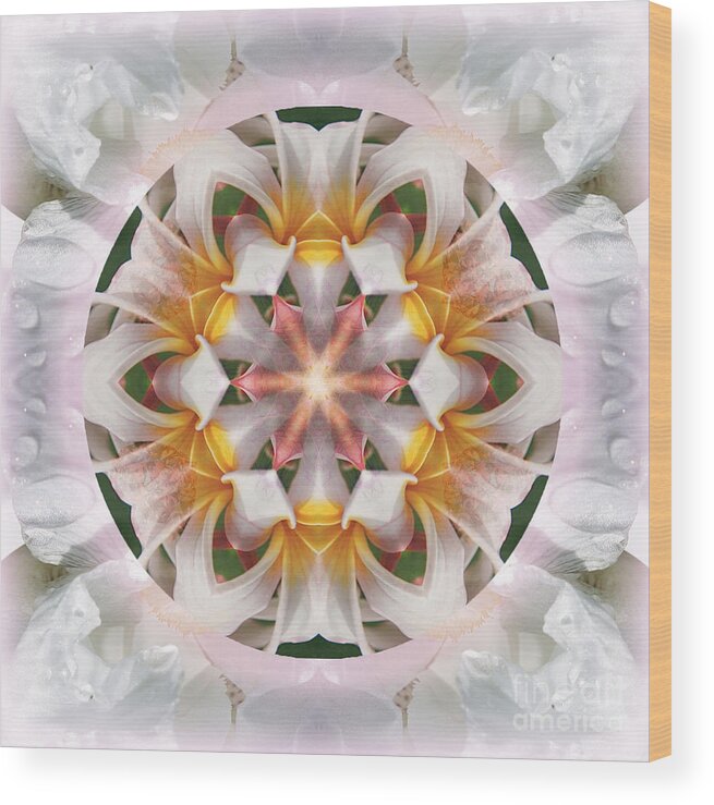 Mandala Wood Print featuring the photograph The Heart Knows by Alicia Kent