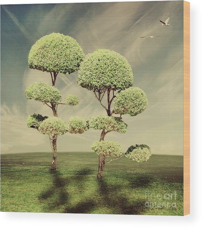 Trees Wood Print featuring the digital art The Land of the Lollipop Trees by Linda Lees