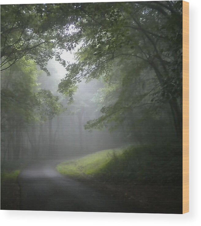 Light Wood Print featuring the photograph The Light Leading Home 3 by Diannah Lynch