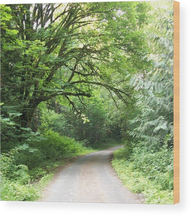 Forrest Road Wood Print featuring the photograph The road less traveled by Josias Tomas
