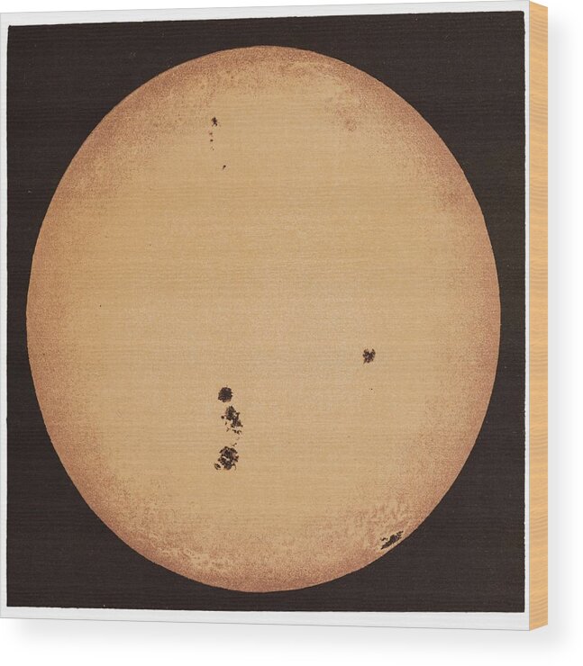 Astronomical Art Wood Print featuring the photograph The Sun In 1892 by David Parker/science Photo Library