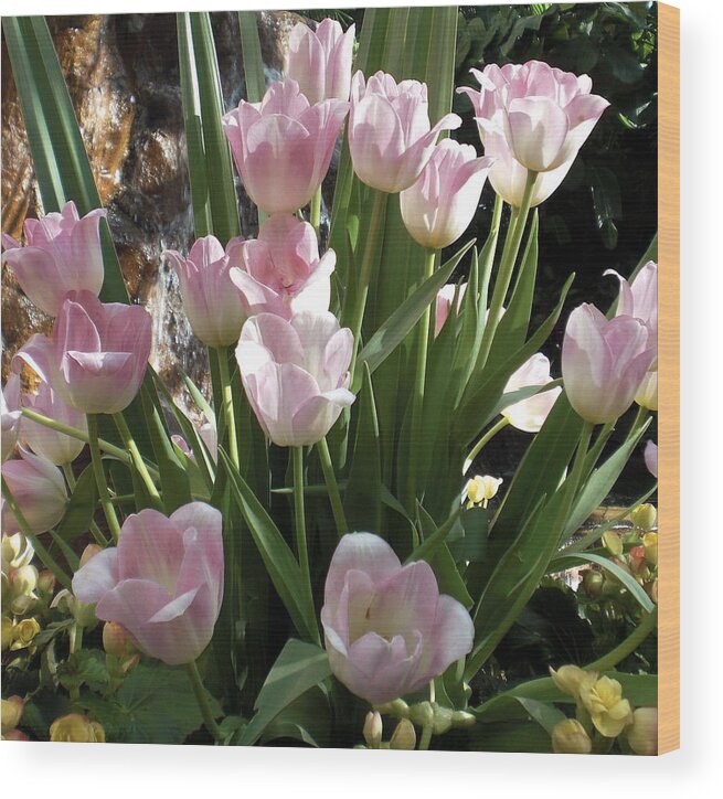 Pink Flowers Wood Print featuring the photograph Tip Toe Through The Tulips by Gerry High