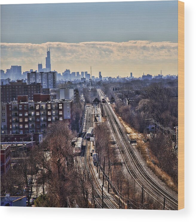 City Wood Print featuring the photograph Toddlin' Chicago by John Hansen