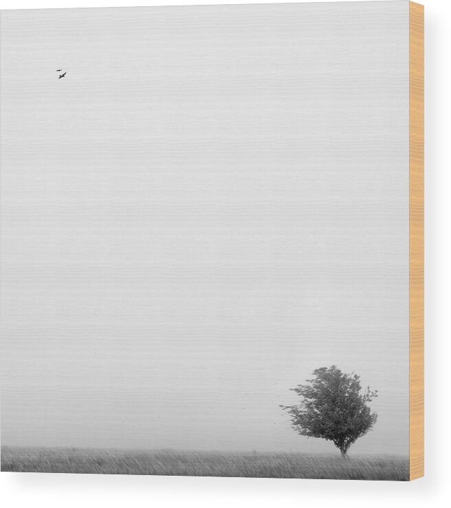 Landscape Wood Print featuring the photograph Tree in the Wind by Mike McGlothlen