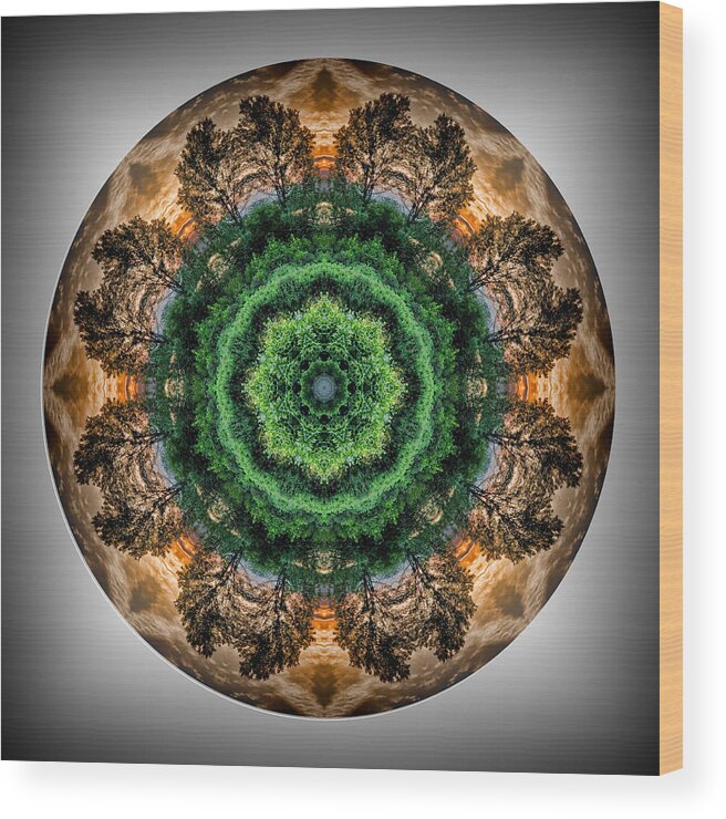 Mandala Wood Print featuring the photograph Tree Sunset Mandala by Beth Venner