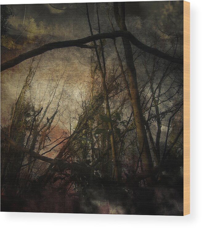 Trees Wood Print featuring the digital art Trees No. 5 by No Alphabet