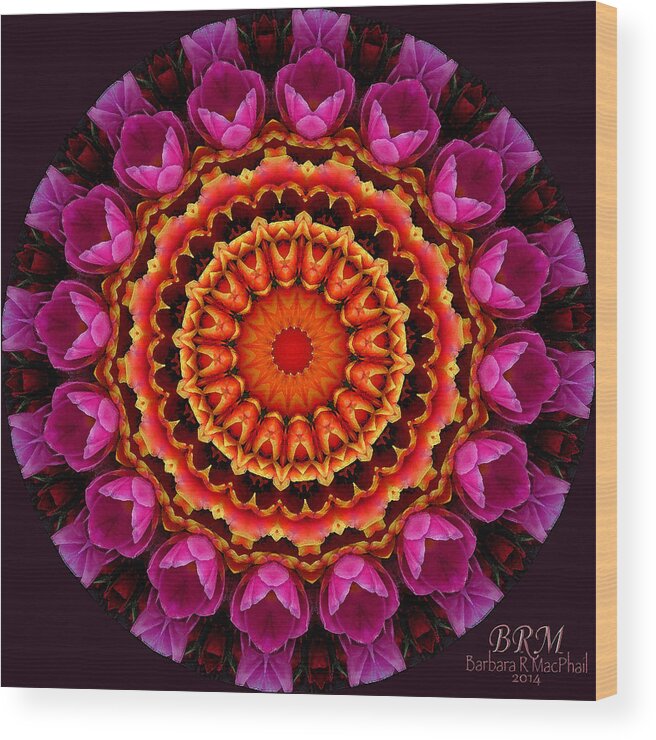 Kaleidoscope Wood Print featuring the photograph Tulips Tale by Barbara R MacPhail