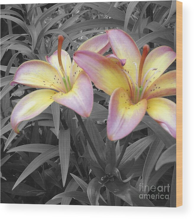 Lilies Wood Print featuring the photograph Two Lilies by Stephen Prestek