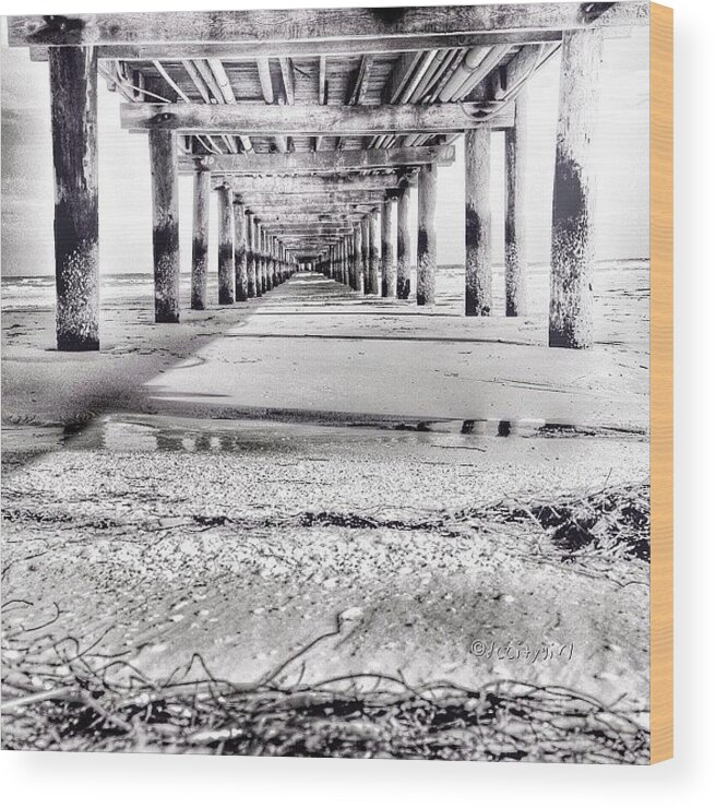  Wood Print featuring the photograph Under The Boardwalk....boardwalk by Dccitygirl WDC