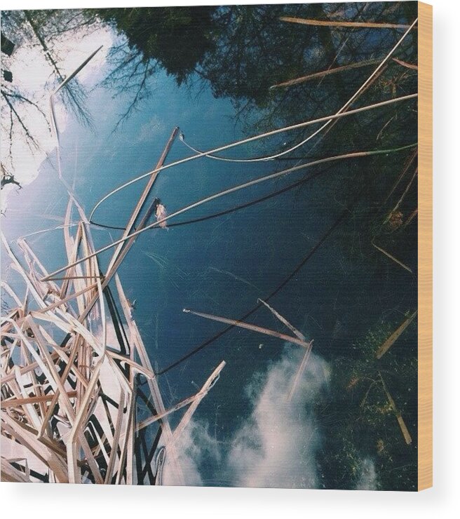 Ponds Wood Print featuring the photograph #vscocam #water #ponds #reflections by James Harrison