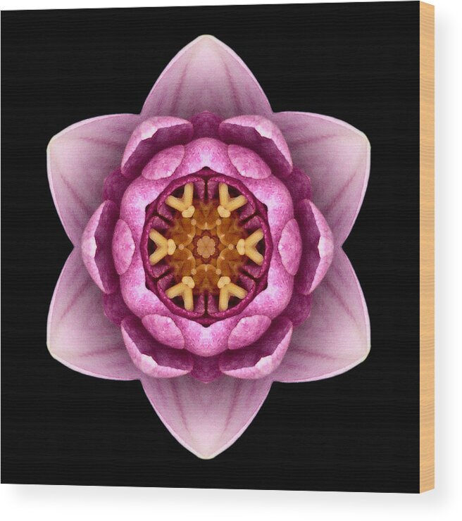 Flower Wood Print featuring the photograph Water Lily X Flower Mandala by David J Bookbinder