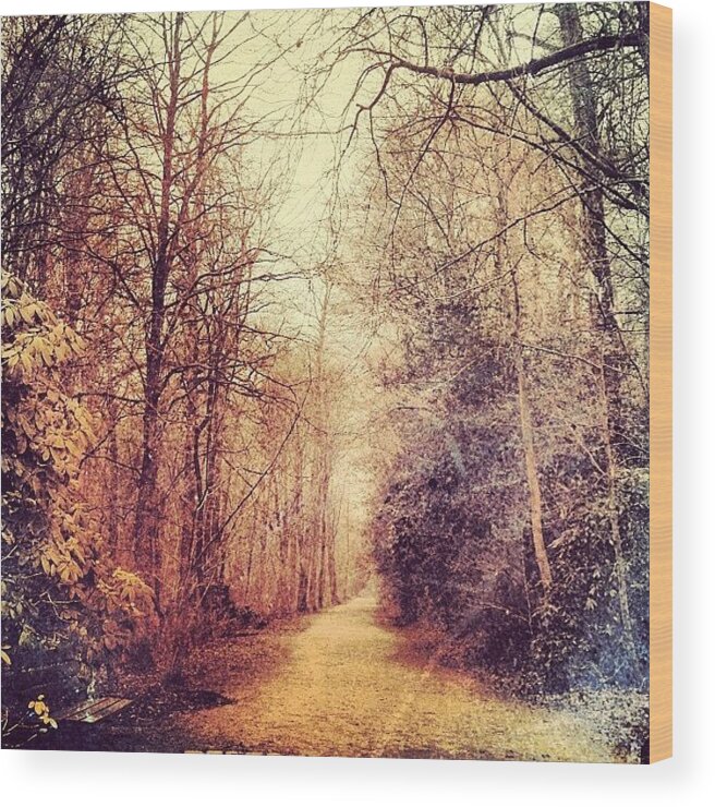 Way Wood Print featuring the photograph Way In The Park #twitter #way #park by Cy Rena