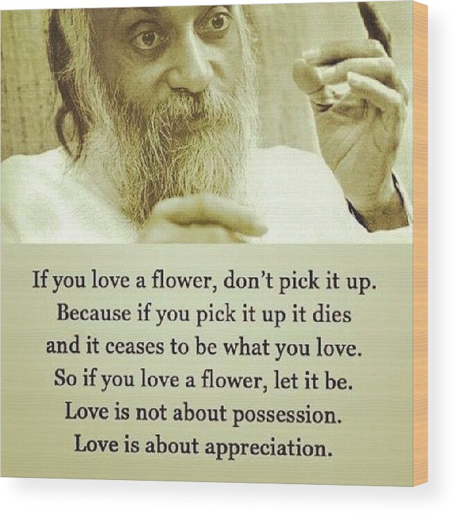 Prints　Morelli　Wood　#flower　Said.　Lexi　#osho　by　Mobile　#love　#quote　Well　Print