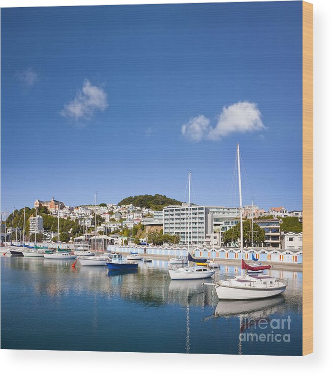 Cityscape Wood Print featuring the photograph Wellington Oriental Bay Marina New Zealand by Colin and Linda McKie