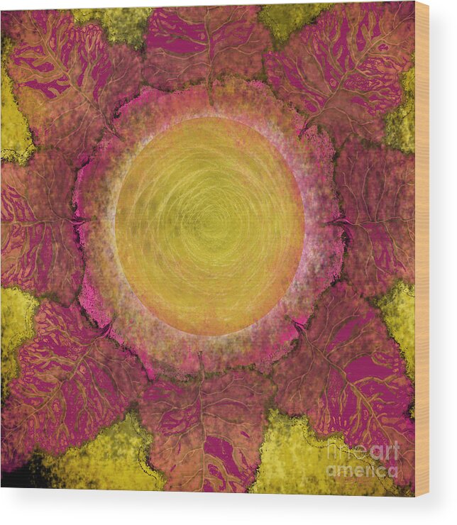 Sun Wood Print featuring the digital art What Kind of Sun IV by Carol Jacobs